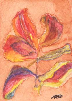 "Tulip Deconstructed" by Melissa Reed, Madison WI - Watercolor Pencil